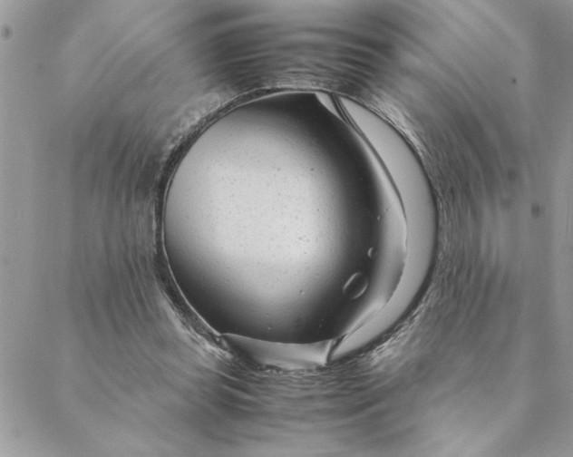 X0000088720349200706141619