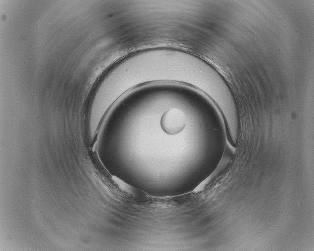 X0000088720350200706141619