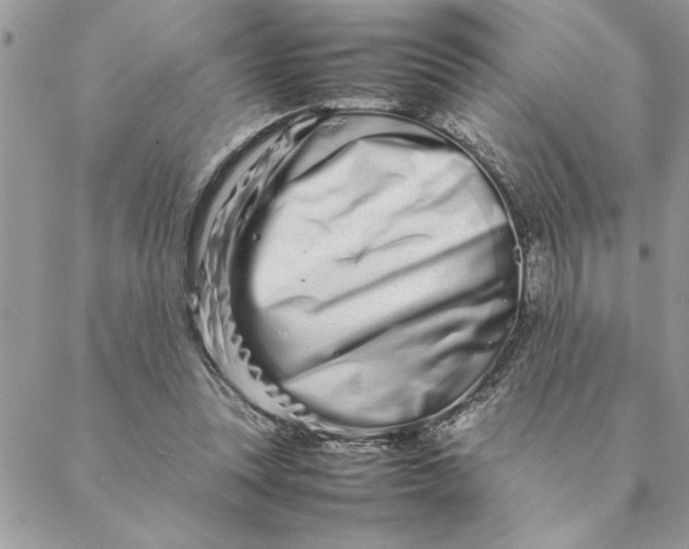 X0000088720351200706141619