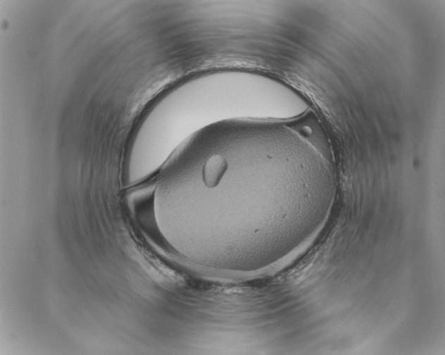 X0000088720352200706141619