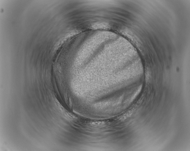 X0000088720353200706141619