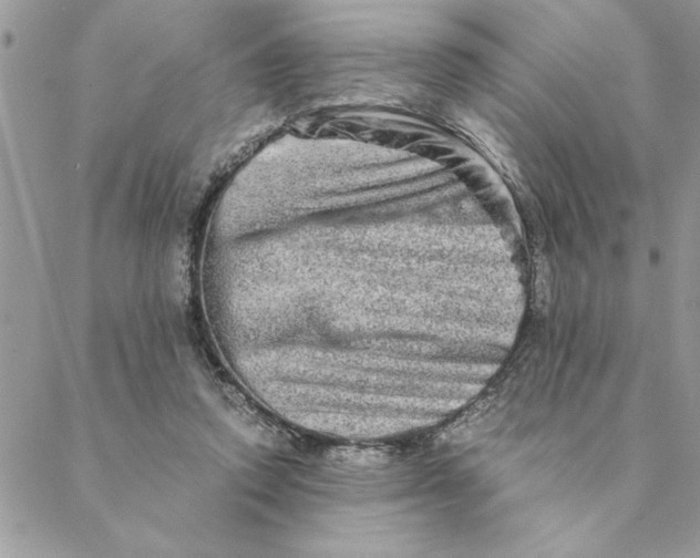 X0000088720354200706141619