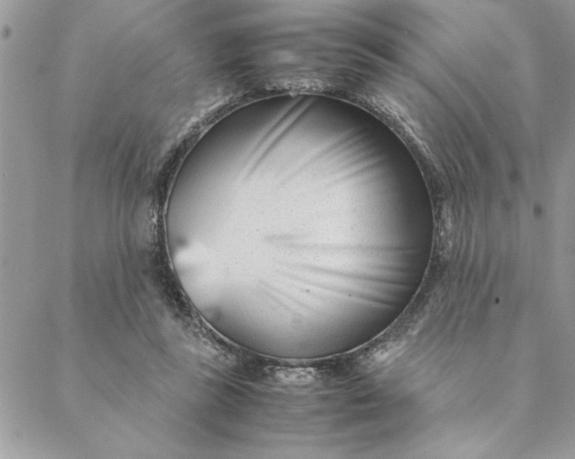 X0000088720355200706141619