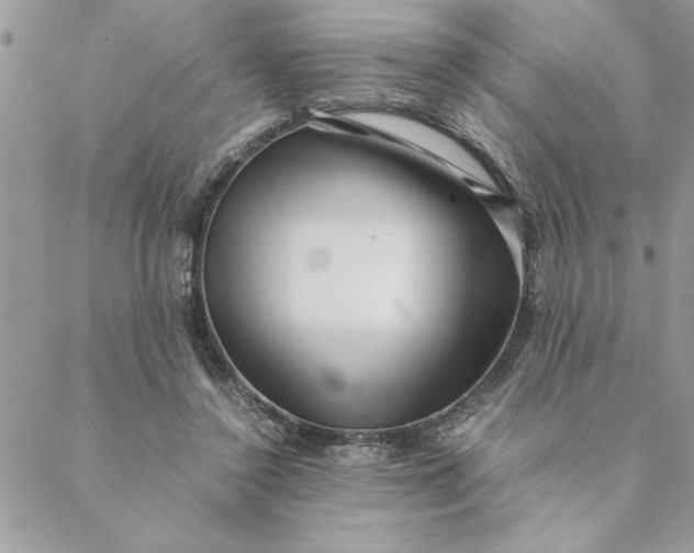 X0000088720356200706141619