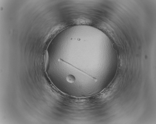 X0000088720357200706141619