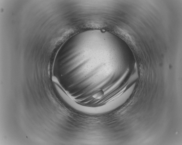 X0000088720358200706141619