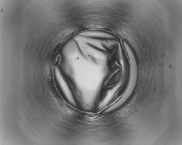 X0000088720359200706141619