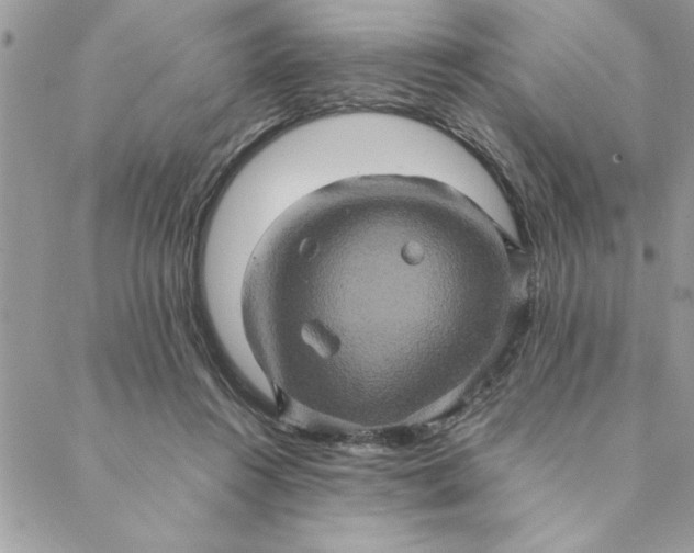 X0000088720360200706141619