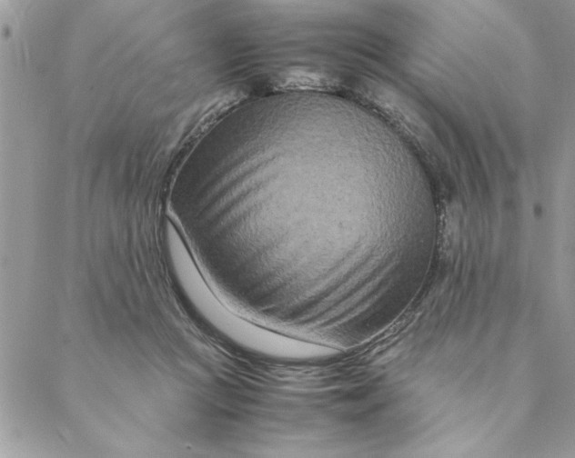 X0000088720361200706141619