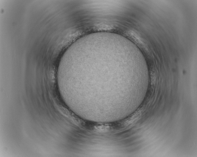 X0000088720362200706141619