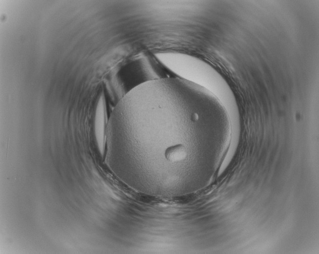 X0000088720364200706141619