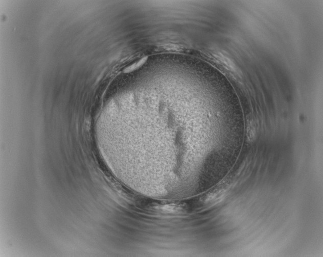 X0000088720365200706141619