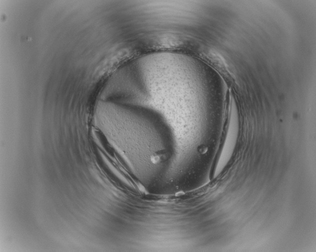 X0000088720366200706141619