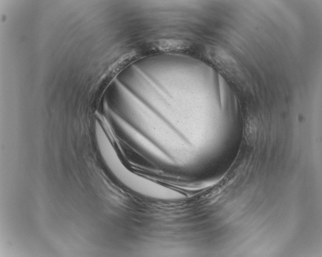 X0000088720367200706141619