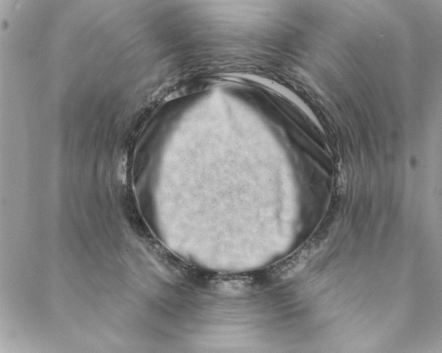 X0000088720368200706141619