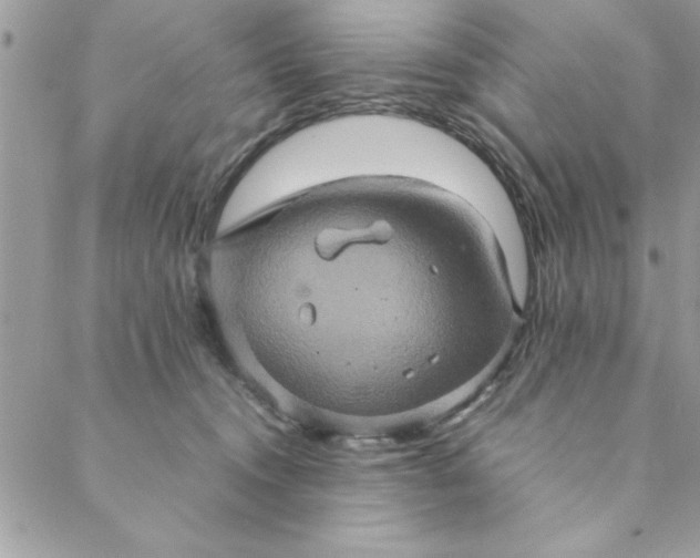 X0000088720372200706141619