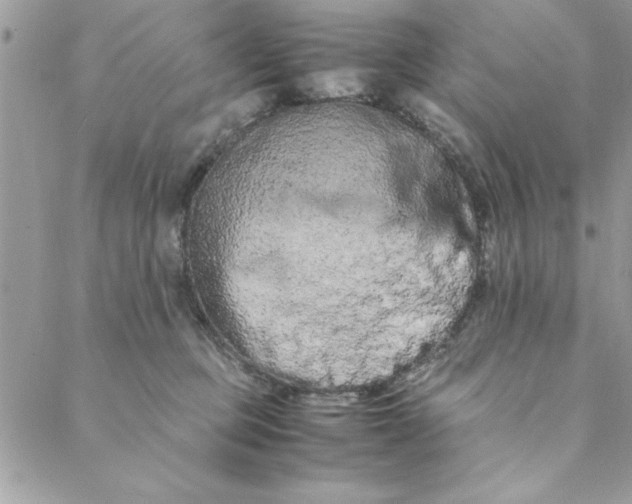 X0000088720373200706141619