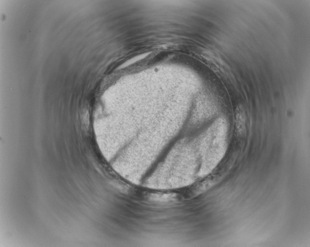 X0000088720375200706141619