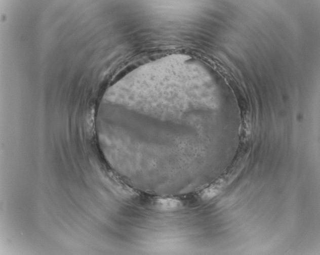 X0000088720376200706141619