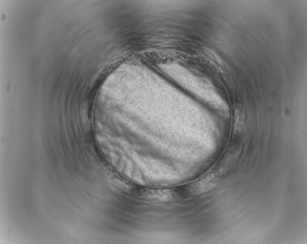 X0000088720377200706141619