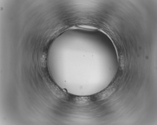 X0000088720378200706141619