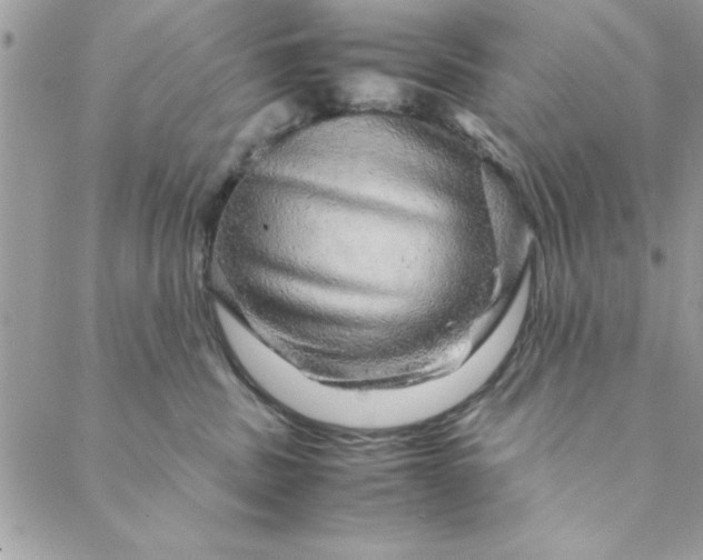 X0000088720379200706141619