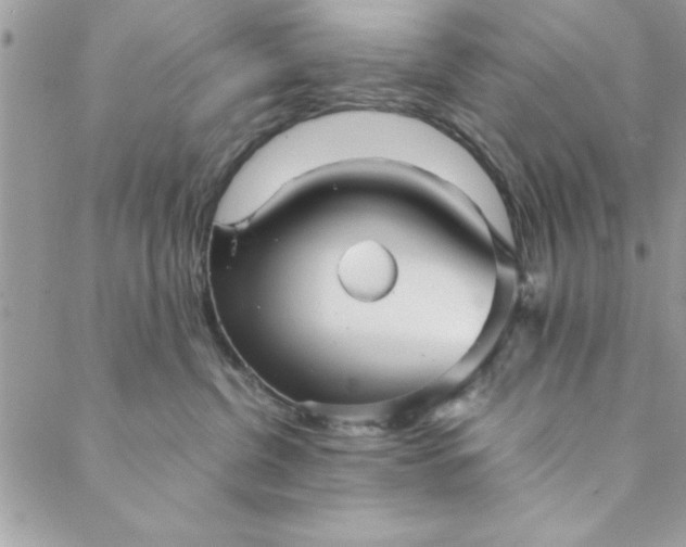 X0000088720380200706141619