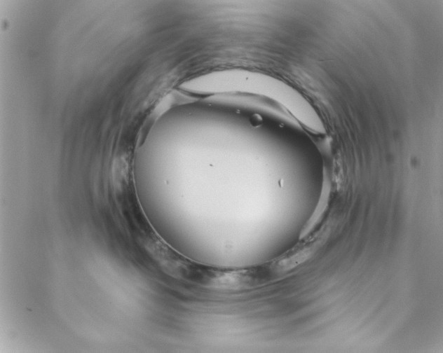 X0000088720382200706141619