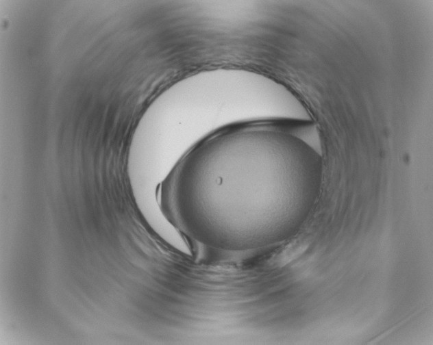 X0000088720384200706141619