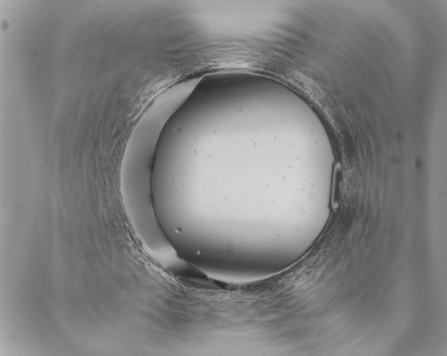 X0000088720385200706141618