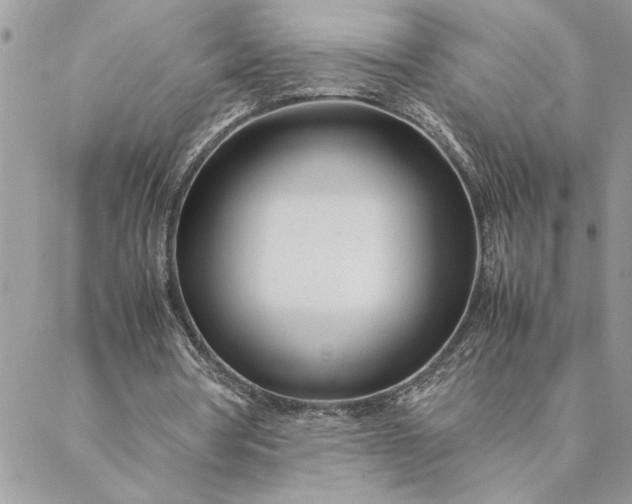 X0000088720386200706141618