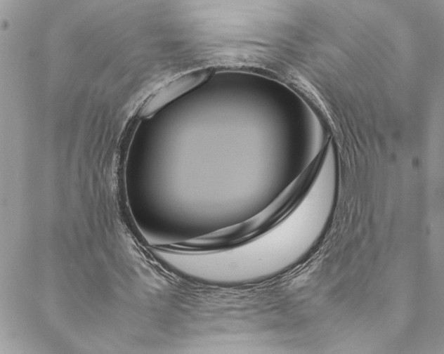 X0000088720387200706141618