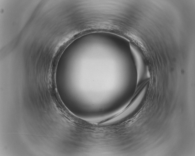 X0000088720388200706141618