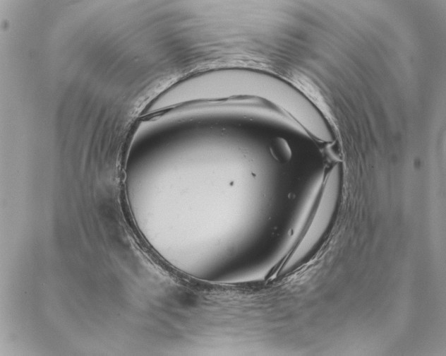 X0000088720389200706141618