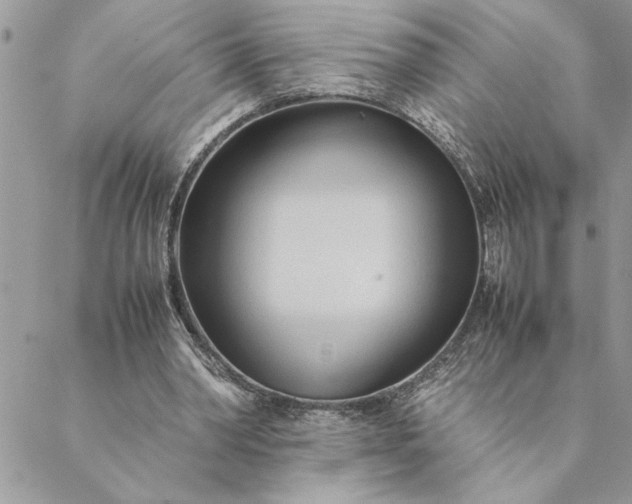 X0000088720390200706141618