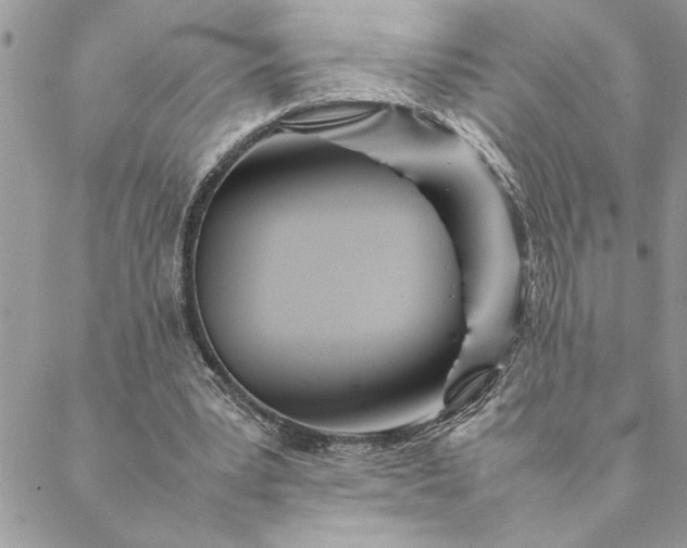 X0000088720391200706141618