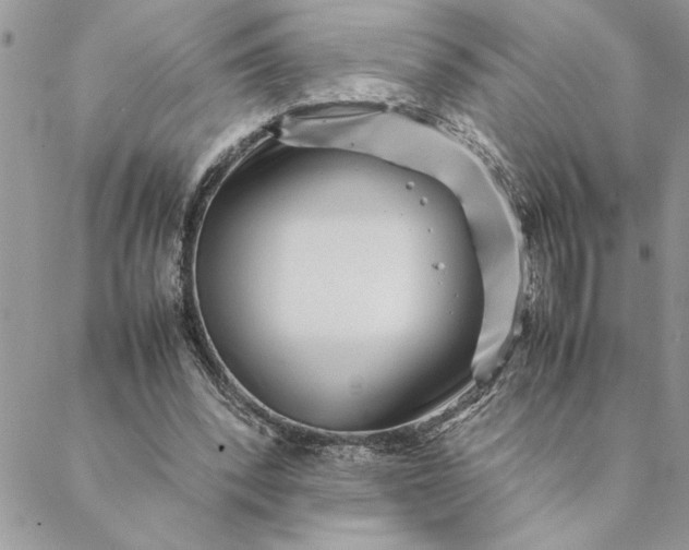 X0000088720392200706141618