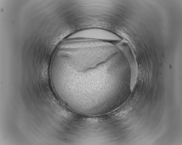 X0000088720394200706141618