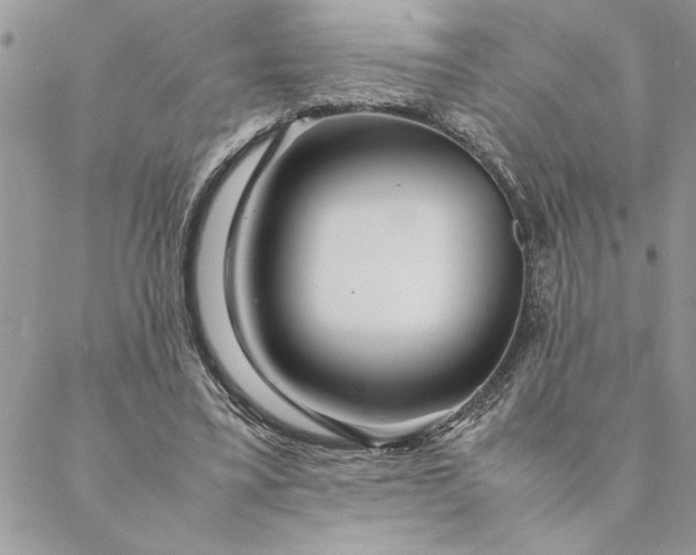 X0000088720395200706141618