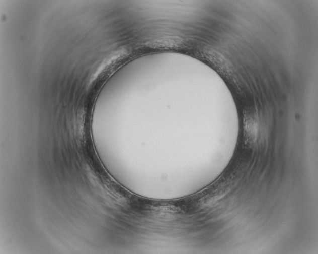 X0000088720396200706141618