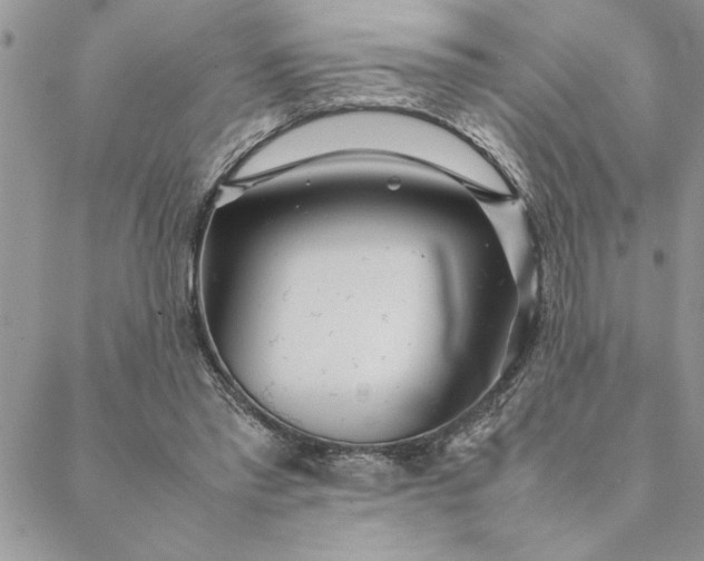 X0000088720397200706141618