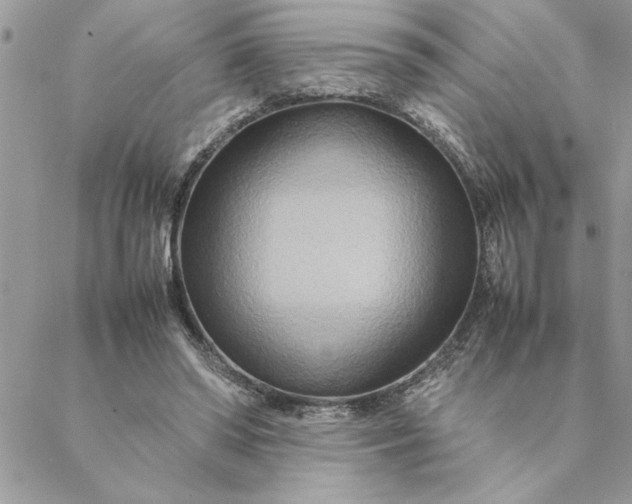 X0000088720398200706141618