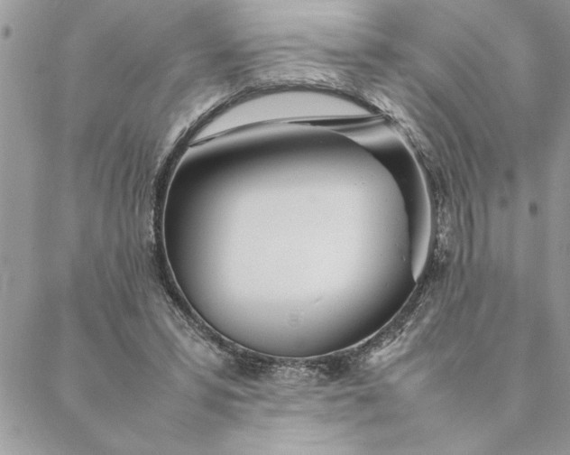 X0000088720399200706141618