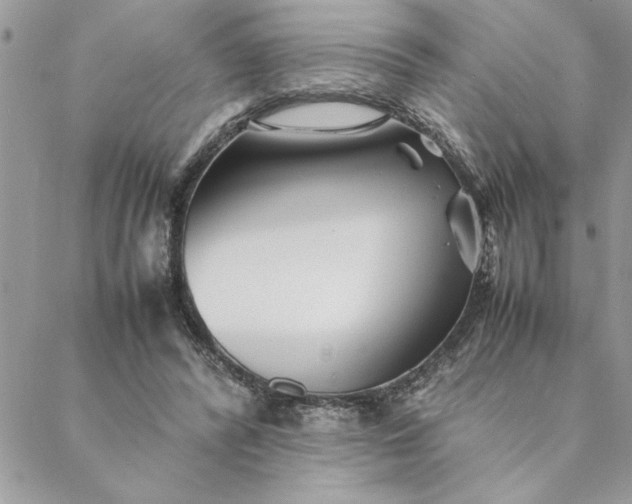 X0000088720400200706141618