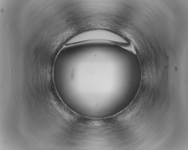 X0000088720402200706141618