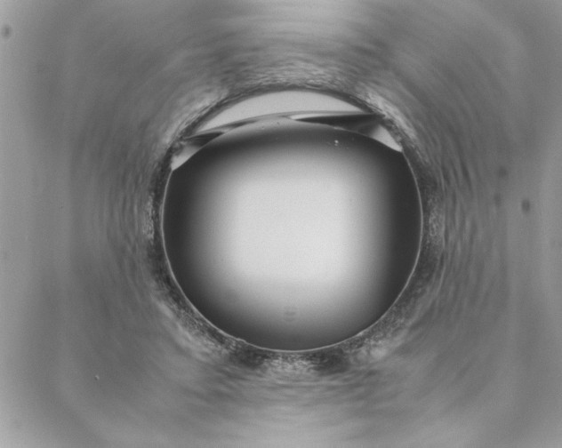 X0000088720403200706141618