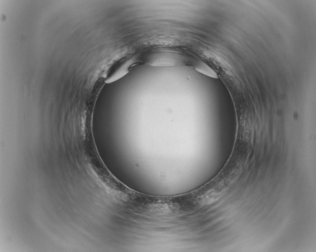 X0000088720404200706141618