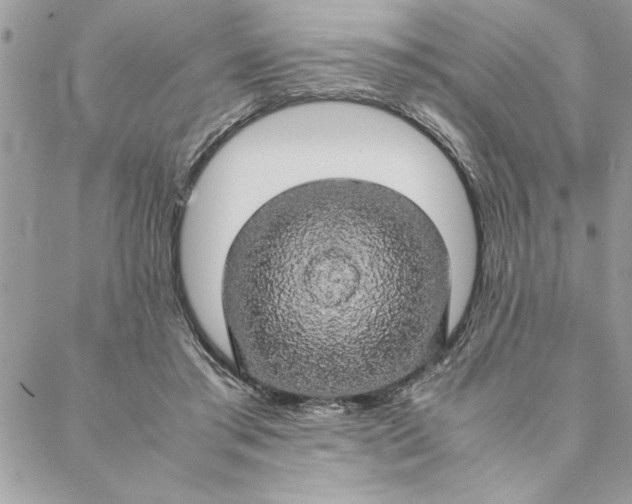 X0000088720405200706141618