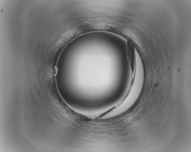 X0000088720407200706141618