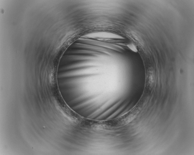 X0000088720408200706141618